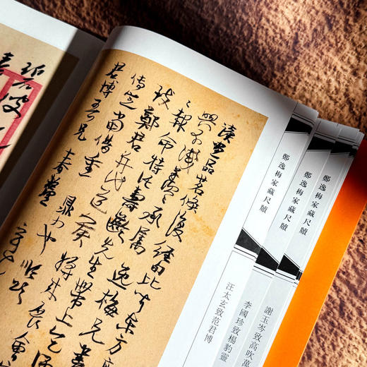 郑逸梅友朋尺牍 郑逸梅家藏尺牍 名宿交游 民国海上艺坛往事 商品图12