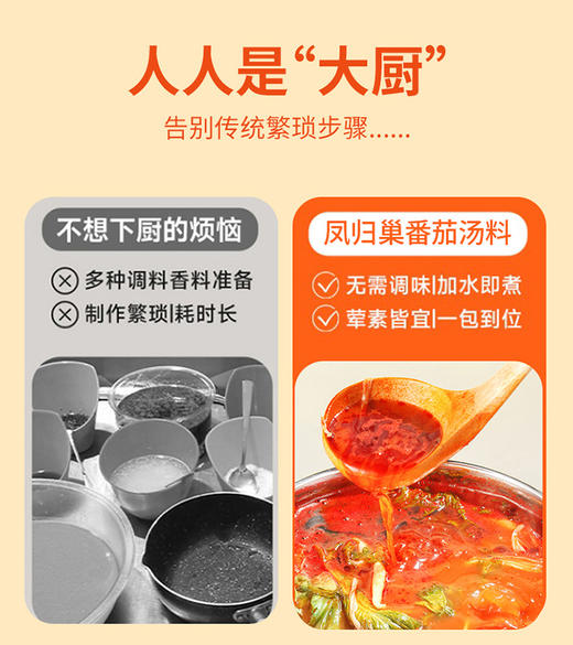 番茄汤料 可以做火锅底料做菜炖汤拌面西红柿鸡蛋面疙瘩汤 涮菜蘸料多用 多功能用途 凤归巢 商品图11