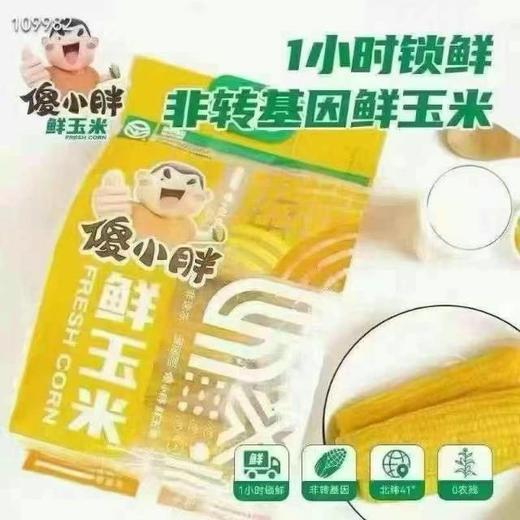 #草滩农场#傻小胖玉米家庭装 商品图0