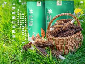 【积分商城】【6000积分兑换】【助农】【包邮】峨眉人家羊肚菌50g