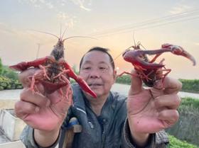 以“质”为本 逐“绿”前行 ——湖北省武汉市蔡甸区渔业高质量发展纪实