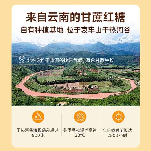 【基础款红糖姜茶】 15颗 加量不加价 商品图5