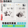 墨点美术【素描书入门教材】零基础自学绘画入门书籍简笔画铅笔画初学者手绘人物速写石膏头像几何体静物临摹画册范本 商品缩略图8