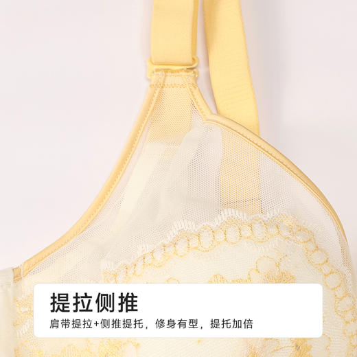 都市丽人完美包容内衣D:超薄蕾丝软钢圈常规文胸LBH2J5 商品图7