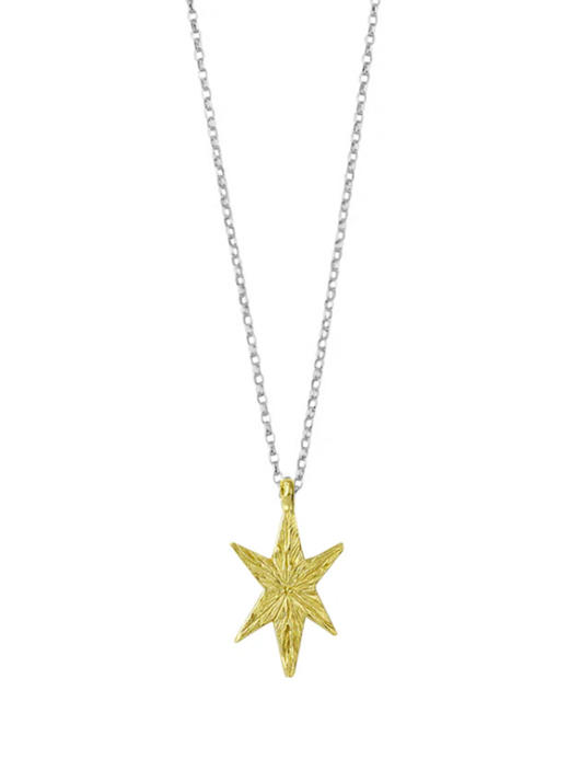 momoko｜15x9mm North star necklace [项链 3色可选] 商品图2