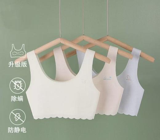 女童发育期少女文胸小学初中生大童儿童薄款女抹胸背心无痕内衣💕 商品图0
