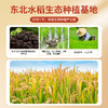 邻家饭香 东北大米 长粒香米 5kg/袋 真空双层包装 LJFX86-C 商品缩略图4