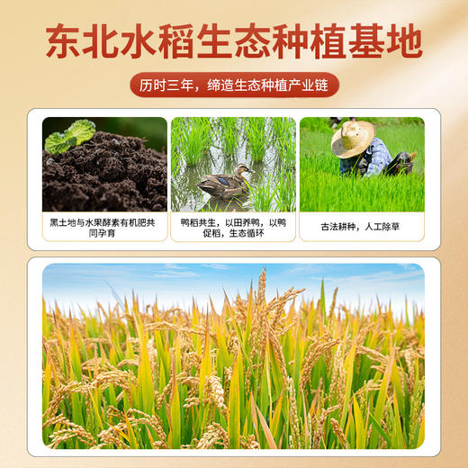 邻家饭香 东北大米 长粒香米 5kg/袋 真空双层包装 LJFX86-C 商品图4
