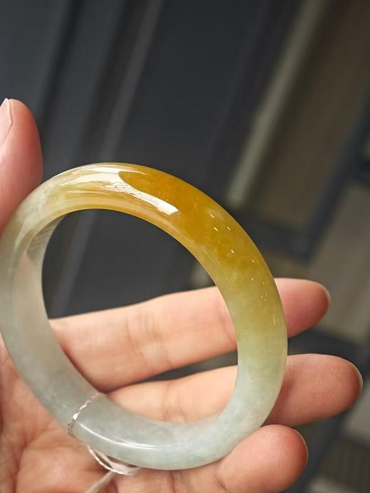 韵味飘黄翡翡翠手镯 商品图2