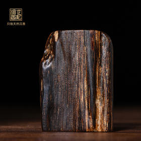 天然芽庄沉香 沉水级 10克 SP6781