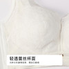 都市丽人凉感WISECOOLB杯常规内衣薄蕾丝无钢圈常规文胸LBH2B5 商品缩略图4
