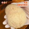雪博士有机猴头菇 小兴安岭蘑菇山珍干货60g 商品缩略图3