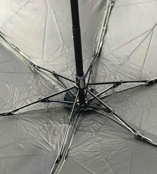 优品堂『烈焰花漾』五折黑胶 商品图14