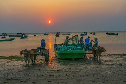 4.18湛江徐闻，菠萝的海（菠萝丰收季节）、南极村、白茅海‘乌石海4天摄影 商品图10