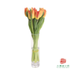 【单瓣郁金香】 落秋 10枝一扎 商品缩略图4