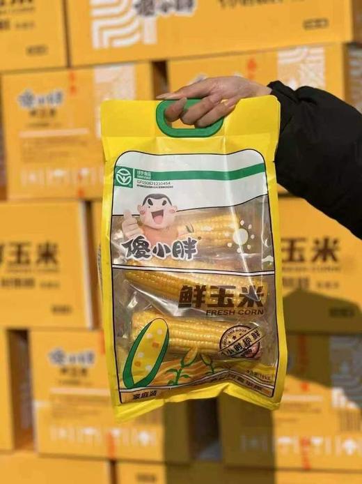#草滩农场#傻小胖玉米家庭装 商品图2