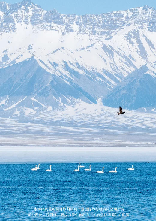 【纵横伊犁·三花绽放】新疆8日游（乌鲁木齐往返） 商品图1