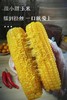 #草滩农场#傻小胖玉米家庭装 商品缩略图6