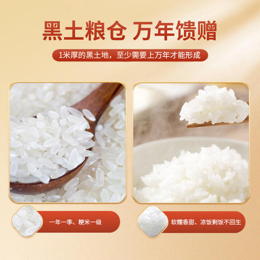邻家饭香 东北大米 长粒香米 5kg/袋 真空双层包装 LJFX86-C 商品图5