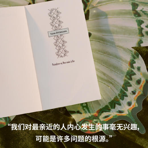 邪恶的幸福 |托芙·迪特莱弗森短篇集 书写女性生活中的希望与失望 商品图3