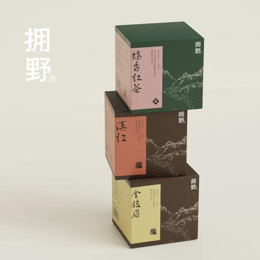 拥野·金骏眉 三角袋泡茶 3gx12袋/盒 商品图7