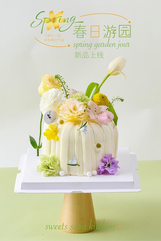 春日游园 商品图3