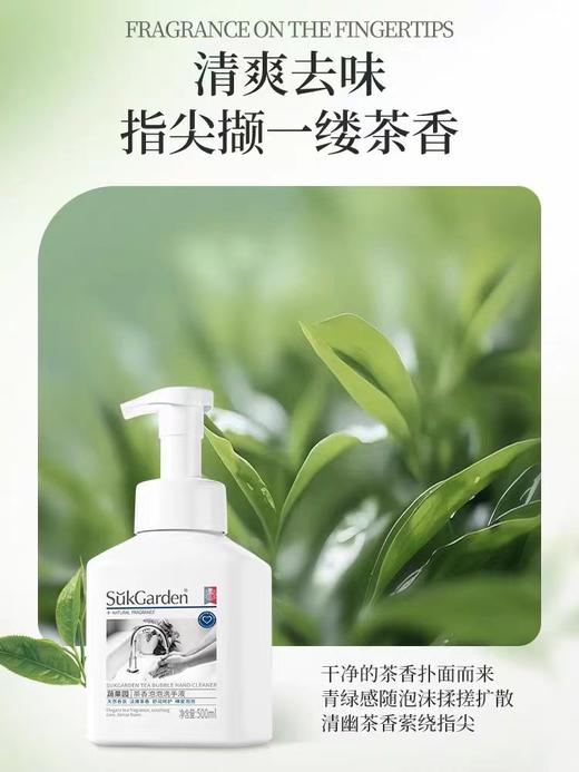 蔬果园茶香泡泡洗手液 500ml 商品图3