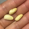 🌸绿色天然的杉臻松子，原料取自长白山原生态自然环境中的松树，无农药残留及污染，确保了产品的天然与健康。颗粒饱满，果仁香气浓郁～～ 商品缩略图2