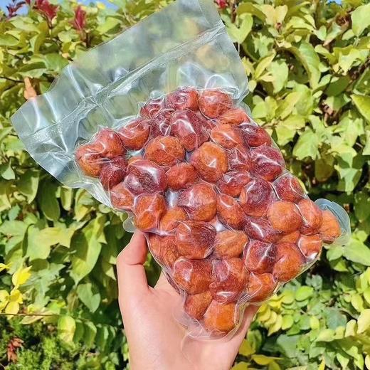 新疆吊干杏（208克左右） 商品图1