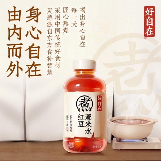 【元气森林】好自在养生茶系列多口味可选500ml*12瓶 商品图2
