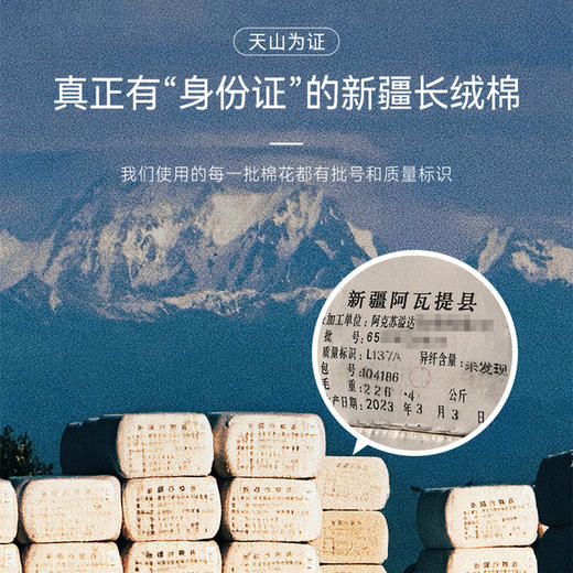 十如仕Visdry汗无痕圆领休闲时尚男士短袖T夏季速干高档T-T12-02 商品图9