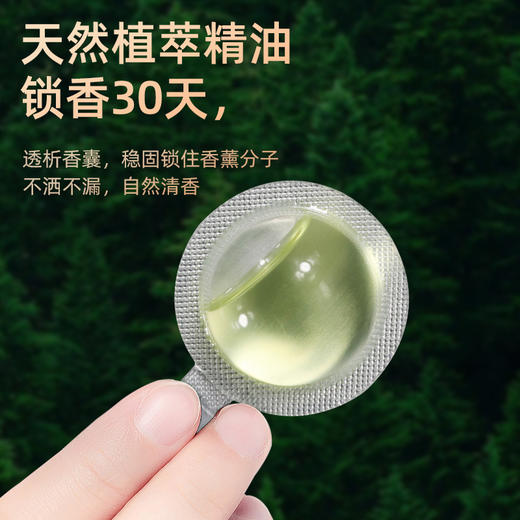 汽车空调出风口香水天使之翼车载香薰车内装饰持久淡香氛器 商品图2