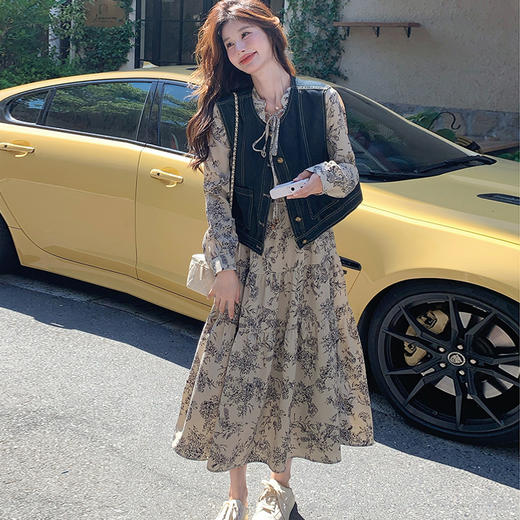 春季2025新款 盐系轻熟风减龄文艺水墨画连衣裙牛仔短外套装_HLY 商品图6