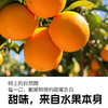乐源100%橙汁饮料工艺果汁275ml*8瓶装 商品缩略图1