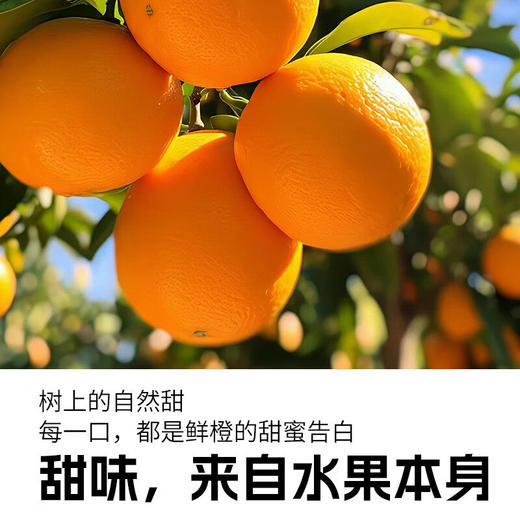 乐源100%橙汁饮料工艺果汁275ml*8瓶装 商品图1