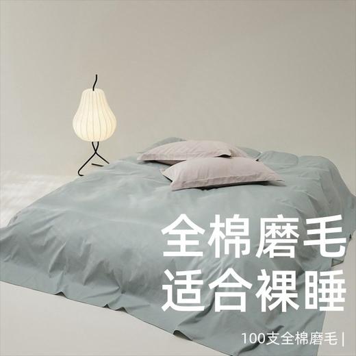 高端100支新疆长绒棉磨毛床单单件全棉加厚纯棉被单枕套三件套冬 商品图0