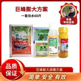 巨峰葡萄膨大方案  （膨大60斤水）