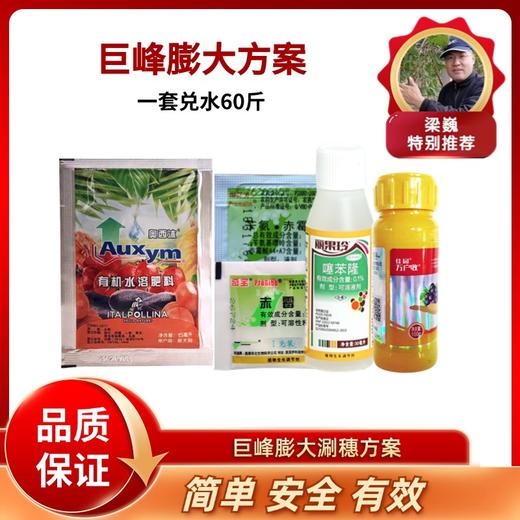 巨峰葡萄膨大方案  （膨大60斤水） 商品图0