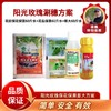 阳光玫瑰葡萄涮穗方案     （ 保花保果膨大拉保膨） 商品缩略图0