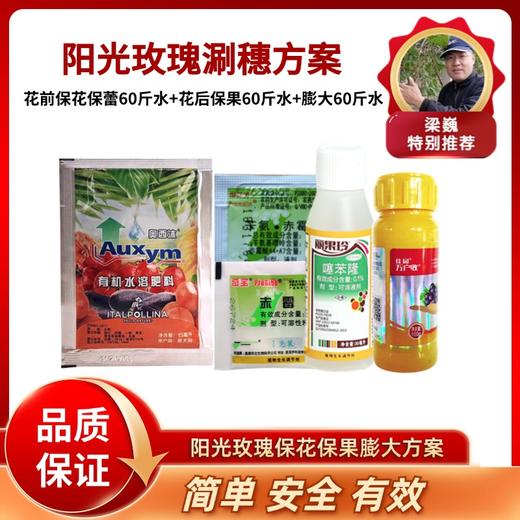 阳光玫瑰葡萄涮穗方案     （ 保花保果膨大拉保膨） 商品图0