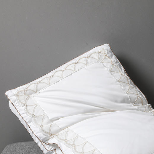 【品牌直发】加倍生活  深睡蚕丝养颜枕 高密纯棉面料  精美刺绣 带检测口 商品图5