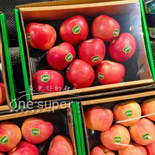 云南野生小苹果约3斤 商品图0