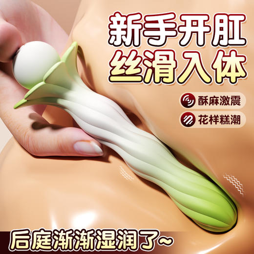 安可尼绿漾仙姿肛塞棒 商品图0