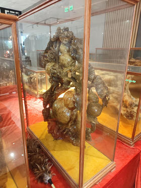 黄金樟榴/ZSP-HJZL102787