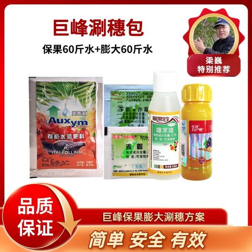 巨峰 葡萄  拉花  保果 膨大方案（80斤水拉穗+  保果60斤水+膨大60斤水   拉保膨） 商品图0