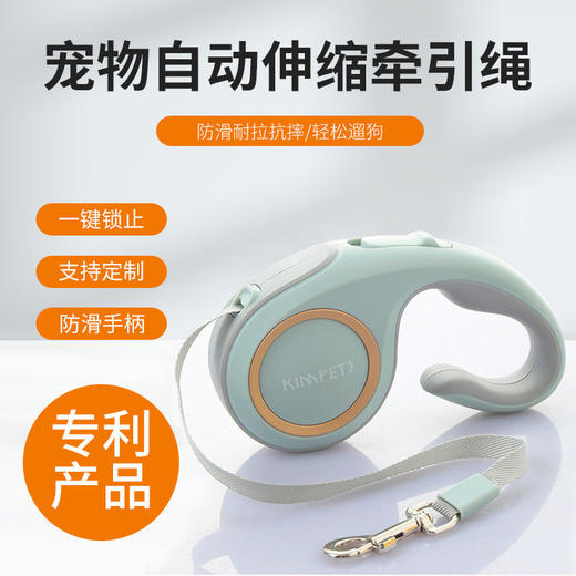 跨境宠物自动伸缩牵引带狗狗柯基猫咪牵引器出行便携式遛狗绳用品 商品图0