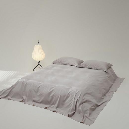 高端100支新疆长绒棉磨毛床单单件全棉加厚纯棉被单枕套三件套冬 商品图3