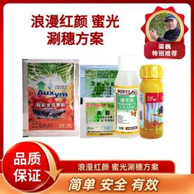 浪漫红颜/密光葡萄涮穗方案（保花保果膨大  拉保膨）