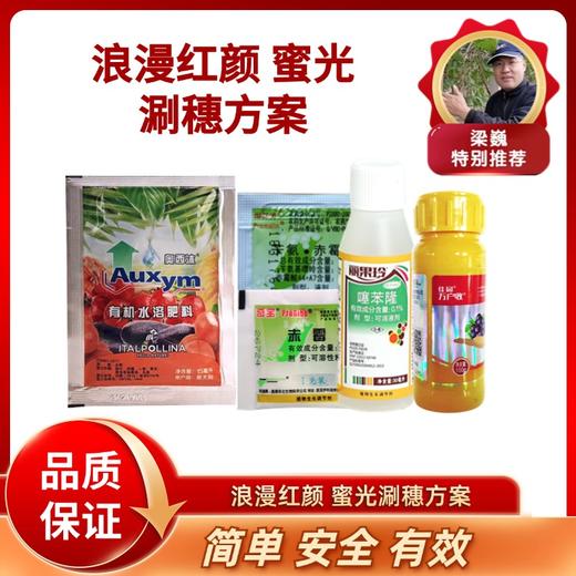浪漫红颜/密光葡萄涮穗方案（保花保果膨大  拉保膨） 商品图0