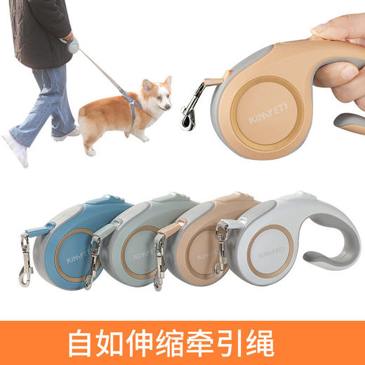 跨境宠物自动伸缩牵引带狗狗柯基猫咪牵引器出行便携式遛狗绳用品 商品图1